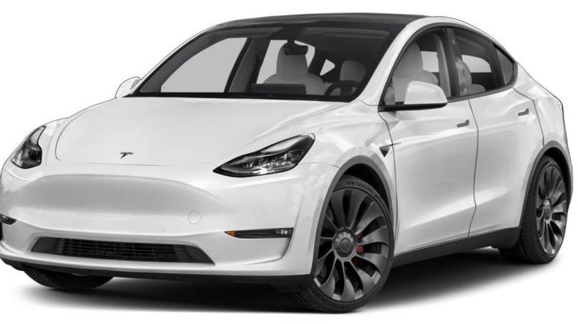 TESLA MODEL Y 2021 5YJYGDEE5MF091669 image